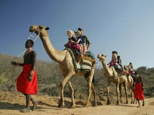 Путешествие на верблюдах фото